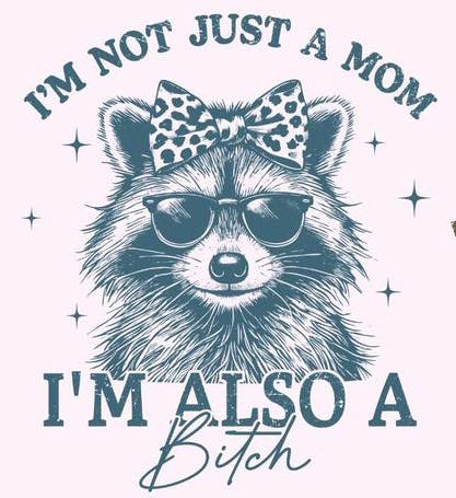 I'm not just a Mom....