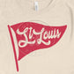 St. Louis Flag